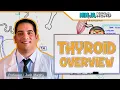 Endocrinology Thyroid Overview