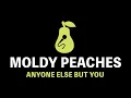 Download Lagu Moldy Peaches - Anyone Else But You (Karaoke)