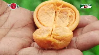 Food to Fight Cancer. 