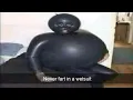Offensive memes that if ylyl
