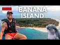 Download Lagu PULAU PISANG 🐬 Bule Living with Local Family on Banana Island 🇮🇩 Wisata Lampung