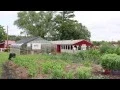 Hy-Vee One Step Garden Package
