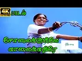 SolaiKkuyilae  Kaalaikkathire   ||சோலைக்குயிலே காலைக்கதிரே || S. P. Sailaja || Tamil H D Love Song