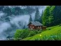 Download Lagu Musik Tidur Santai yang Indah 🌿 Suara Menenangkan untuk Menenangkan Saraf, Musik Penyembuhan
