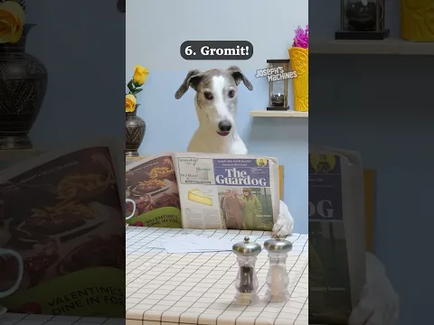My top 10 animal cameos! Which one is your favourite?