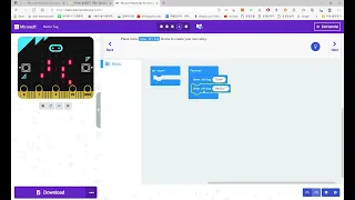 OLD micro bit Name Tag