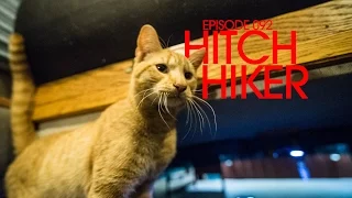 Picking up a Hitch Hiker – Van Life 093