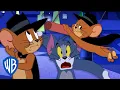 Download Lagu Tom \u0026 Jerry em Português 🇧🇷 | Brasil | O melhor de Jerry Von Mousing | WB Kids