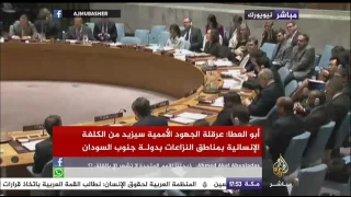 جلسة لمجلس الأمن بشأن الوضع في السودان وجنوب السودان 