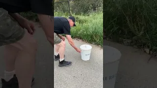 Found this red diamond rattlesnake in my parents in-laws backyard. #snake #snakes #herpetology #fun￼