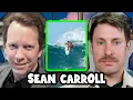 What Is the Wave Function Sean Carroll