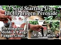 3 Uses of Hydrogen Peroxide for Starting Seeds Indoors Fungus Gnats Molds Fungi Germination