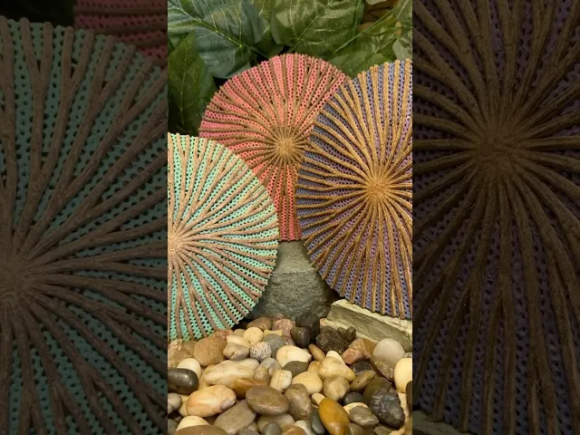 Wood Blossoms video thumbnail