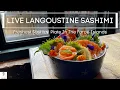 Download Lagu LIVE Langoustine and Salmon Sashimi - I Make The Freshest Sashimi Plate In The Faroe Islands!