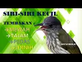 Download Lagu MASTERAN SIRI SIRI KECIL TEMBAKAN PEDAS DAN TAJAM