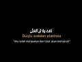 Download Lagu Sholawat Duqtu Walalan Atakhola Viral Tiktok - Overlay Lirik