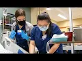 Elmhurst University Online Accelerated BSN Student Experience Elysa Katz