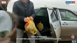 «Дежурная часть», эфир от 19 ноября 2022 года
