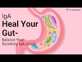 Download Lagu Heal Your Gut- Balance Your Secretory IgA Levels