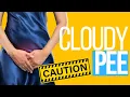 Why is My Pee Cloudy