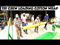 Download Lagu COTTON AND SOYBEANS BEING HARVESTED AT THE SAME TIME 
