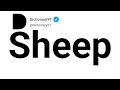 Sheep Synonyms Thesaurus Similar Words
