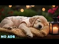 12 Hours Dog Music Dog Calming Music Dog Healing Sounds For Peaceful Comfort And Relaxation