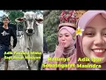 Download Lagu Adik Fauzana Minta Masiyun Sapi Besarnya Ratunya Sobatngaret Putri Sumatra Ini Dia..!!