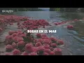 Rosas En El Mar • Massiel [Letra]
