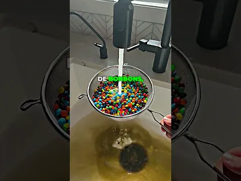 Nettoyage bizarre de bonbons, réaction de la famille 🍬