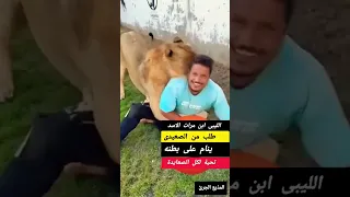 شخص ليبي يحرض اسد لترهيب شاب مصري صعيدي الصعايدة صعيدي 