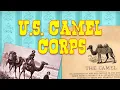 U S Camel Corps