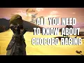 The Complete Beginner s Guide to FFXIV Chocobo Racing 5 55 2021