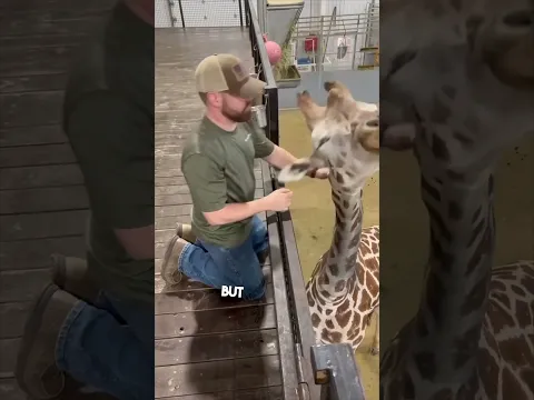 He was able to help an animal in pain ♥️