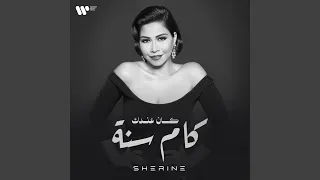                    دندنها