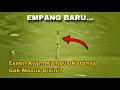 Lagu Essen Ayam Kampus Di Empang Manapun Tetap Macok | Juara Total Ikan Terbanyak
