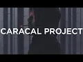 Download Lagu Apashe \u0026 YMIR - Never Change (The Caracal Project Remix)