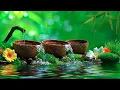 Download Lagu Relaxing Piano Music Bamboo Water Fountain, Sleep Music, Relaxing Music, Meditation Music #46