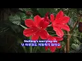 Lagu Raindrops Keep Falling on My Head - B.J. Thomas: with Lyrics(영어가사/한글번역)