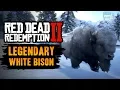 Red Dead Redemption 2 Legendary Animal - Legendary White Bison