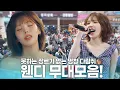 Download Lagu 명창다람쥐🐿️가 울지도 않고 노래도 잘하네요🫢 웬디 버스킹 무대모음🔥 | KBS 방송