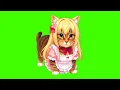 Download Lagu OIIA OIIA KOREA Spinning Cat