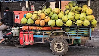 Must Try! Tropical Fruit Collection - Fruit Cutting Skills