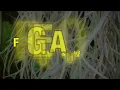 Aluna, Diplo & Durante - Forget About Me - Lyrics