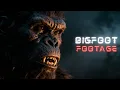 Download Lagu Bigfoot is REAL! 10 Unbelievable Sightings Caught On Camera