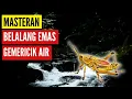 Download Lagu Suara Belalang Emas Jeda dan Gemericik Air Cocok Buat Masteran Burung - Suara Belalang Emas MP3