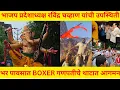 Download Lagu उल्हासनगर : Boxer गणपती उल्हासनगर के राजा का आगमन सोहळा 2025 ! 