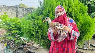 Village style Duck curry recipe, bachoon nay ki shopping 🛍️ #cooking #shorts #villagelife 