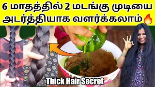 Download OMG..😱 6 மாதத்தில், முடியை 2 மடங்கு அடர்த்தியாக மாற்றலாம் / Best Thin to Thick Hair mask at home MP3