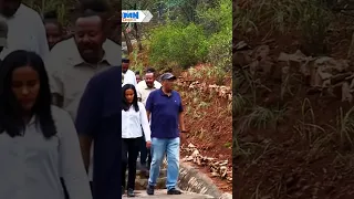 Baaburaafi Lafoon Daawwannaa Loojii Soofumar  Baaburaafi Lafoon Daawwannaa Loojii Soofumar